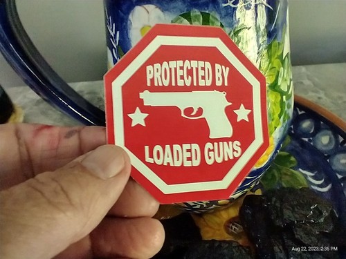 Small Hand made Decal Sticker PROTECTED BY LOADED GUNS - Picture 3 of 3
