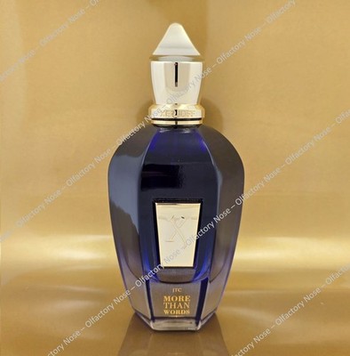 Xerjoff More Than Words 100mL 3.4oz - New TSTR