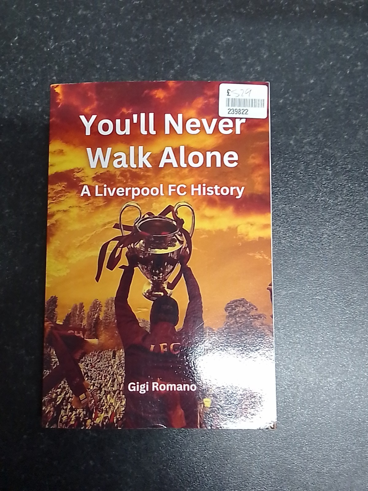 You'll Never Walk Alone: A Liverpool FC History by Gigi Romano Paperback Book