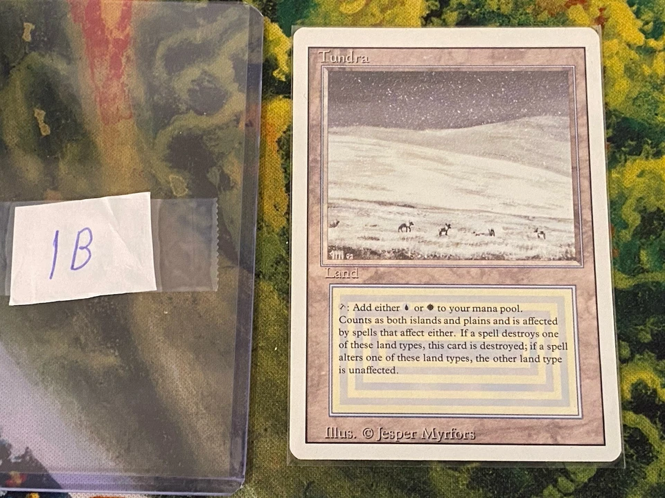 TUNDRA REVISED MTG MAGIC THE GATHERING LIGHT PLAY - Image 3 of 4