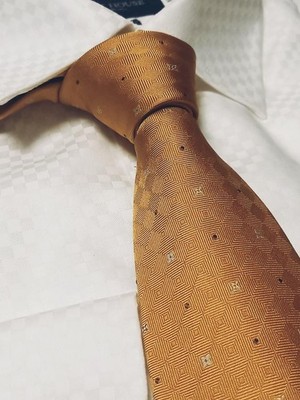 LOUIS VUITTON ネクタイ 黄色 LOUIS VUITTON Logo Tie Men LV Mustard Yellow Genuine Excellent