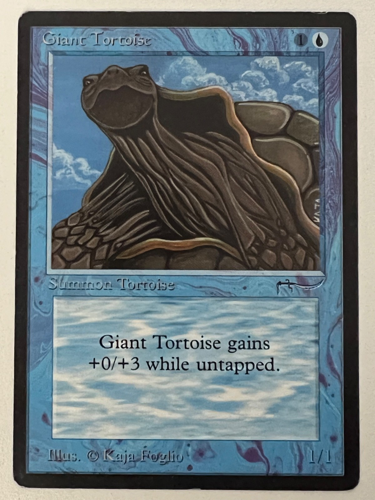 Magic the Gathering MTG Arabian Nights Giant Tortoise Dark MP  (Beta Bob)