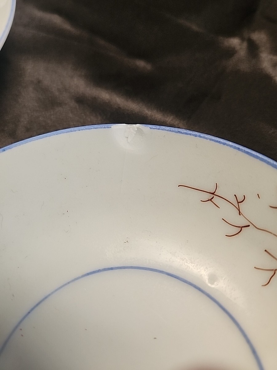 Antique B.S.M. China 1265 Pink Flora Tea Cup & Saucer Set Cherry