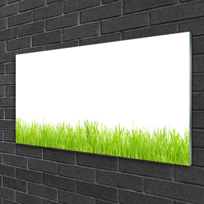 Image sur verre Tableau Impression 120x60 Nature Arbres Sentier