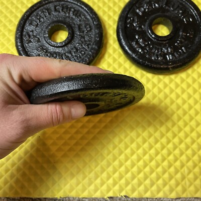Disque De Fonte Vintage Dan Lurie 2.5 Lb – Standard – Brooklyn NY