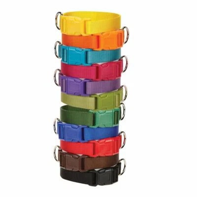 Casual Canine Nylon Dog Collar w Quick Release Buckle XS S M L 11 Colors