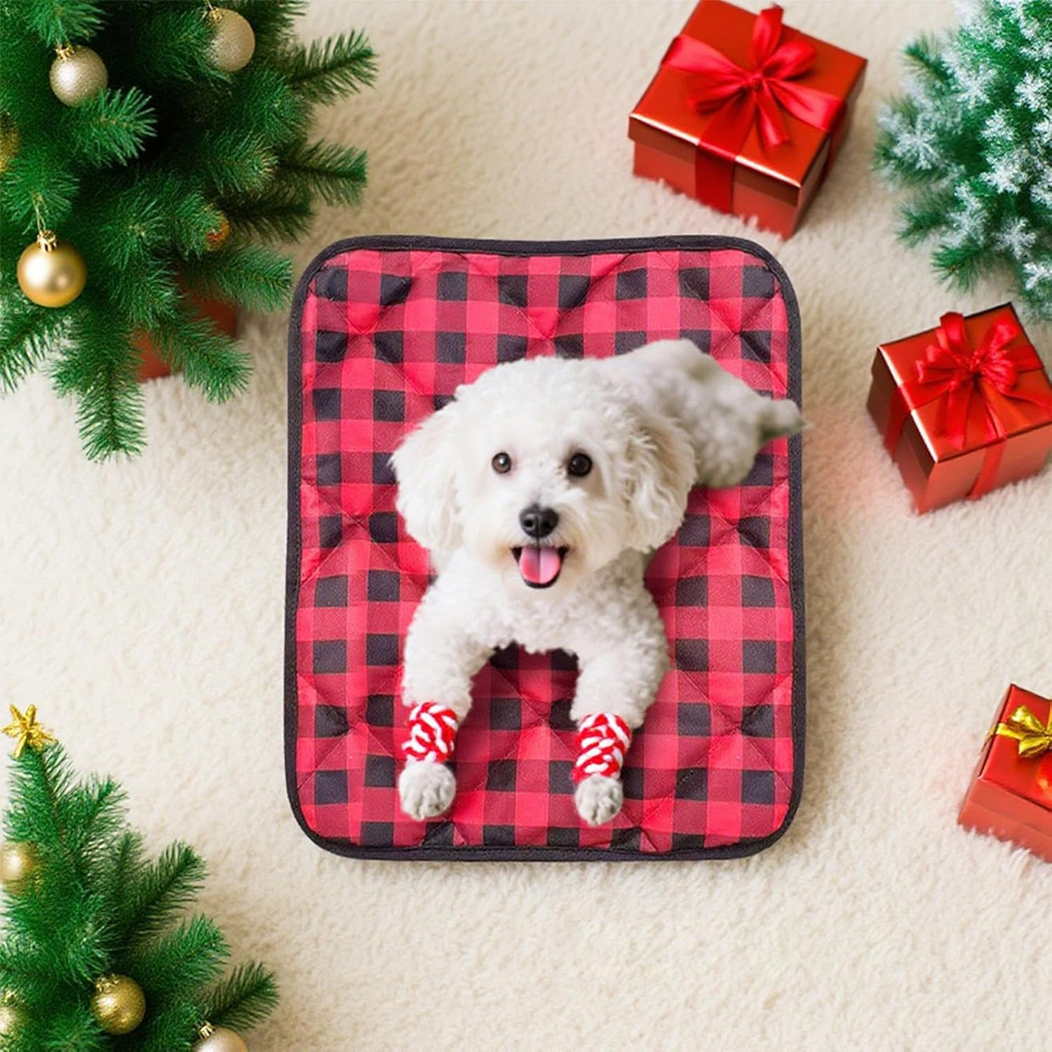 Tappetino Riscaldato per Cani Lavabile | Comfort Termico Professionale - 3