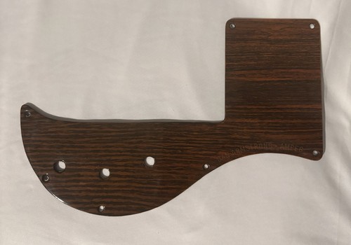 Original 1969/1970 AMPEG Dan Armstrong Woodgrain Vintage Bass guitar Pickguard