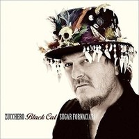Audio Cd - Zucchero - Black Cat - Universal Music -D- Neu