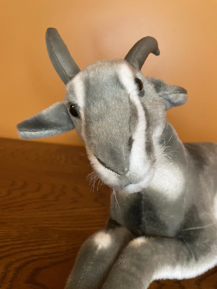 Stuffed top pygmy goat