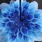 Bild 97 von 134