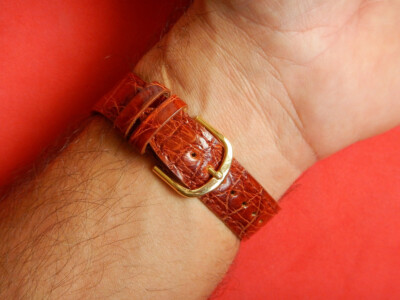 Bracelet En Cuir De Crocodile Véritable - Largeur 20 Mm - Couleur Marron - Neuf Sans étiquette