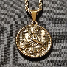ZODIAC SIGN SCORPIO Pendant Charm / STAINLESS STEEL ROPE CHAIN NECKLACE (G)