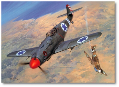 Strange Encounter  by Roy Grinnell - Rudy Augarten - Aviation Art Print 