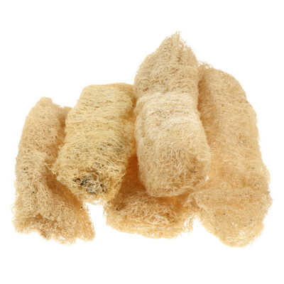 5 Pcs Luffa De Bébé Papa Jouet Hamster ventes exceptionnelles À Mâcher Pour Petits Animaux