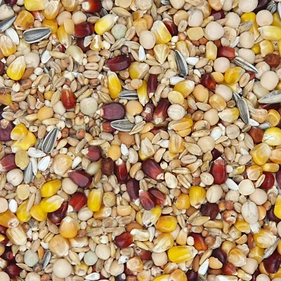 Mifuma - Top Jungtaube - Taubenfutter - 25kg