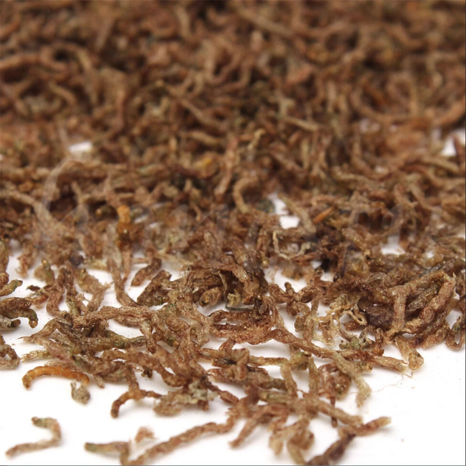 60-200g Freeze Dried Blood Worm Fresh Tropical Fish Discus Food Feeding - image 4 of 4