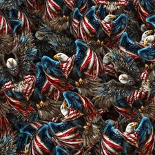 Patriotic Eagles 28 - 18"x46" Hydrographic Film Hydro Dipping