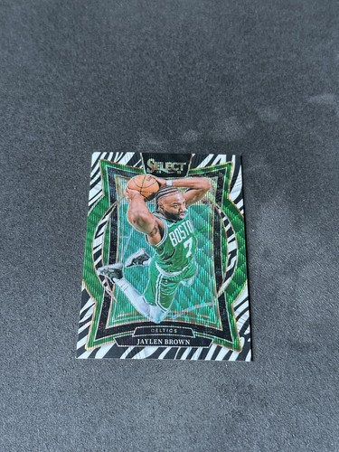 Jaylen Brown 2024-25 Panini Select Concourse Zebra Prizm #29