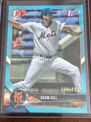 2018 Bowman Draft Sky Blue Paper /499 BD-154 Adam Hill New York