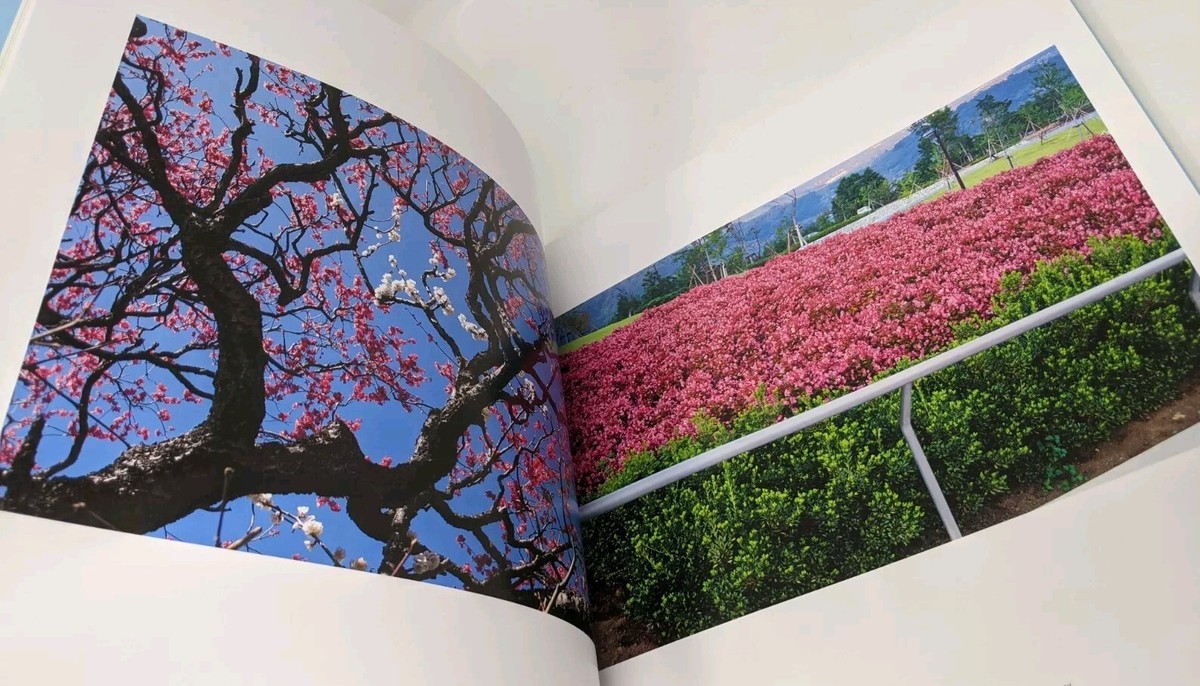 Daisaku Ikeda Rendezvous With Nature Sky Dreams Poems And