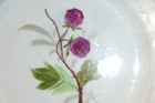 3 Hand Painted Vintage Plate Fruit Flowers 8" Diameter Scalloped Edges Austria — photo 9