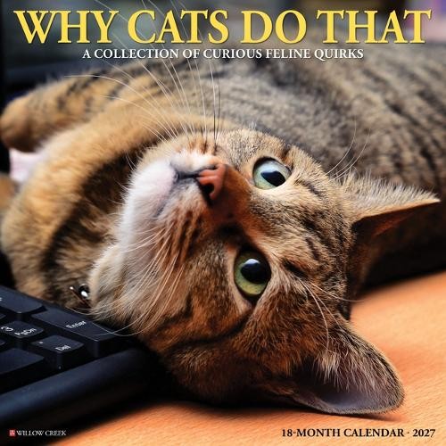 Why Cats Do That 2027 Wall - Image 6