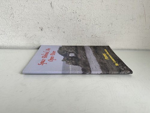 Space Behind An Open Door Poems By Laurence Glackin Auld Ireland 2004 Book - Bild 10 von 14
