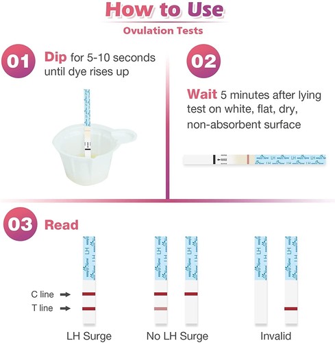 Easy@Home Ovulation/Schwangerschaft Combo Test Kit + BBT Thermometer und Testbecher - Bild 8 von 9