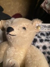 This is a 7 steiff Teddy bear