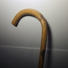 Picture 10 of 24