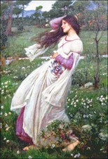 Needlework Crafts Full Embroidery DIY Counted Cross Stitch Kits Windflowers