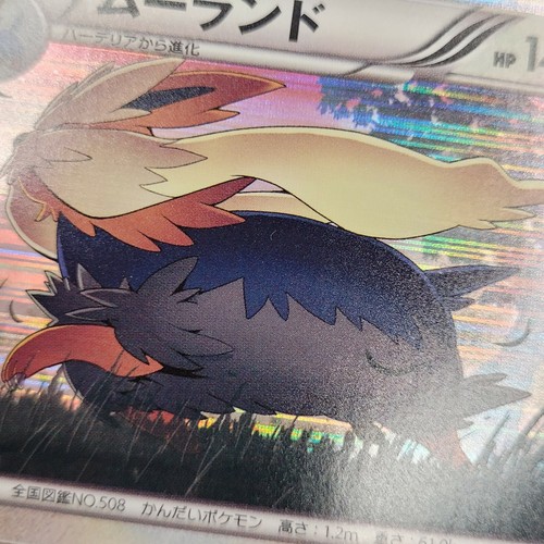 Lp Mp Stoutland Holo R 1st Ed Pokemon Card 053 059 Bw6 Cold Flare Ebay