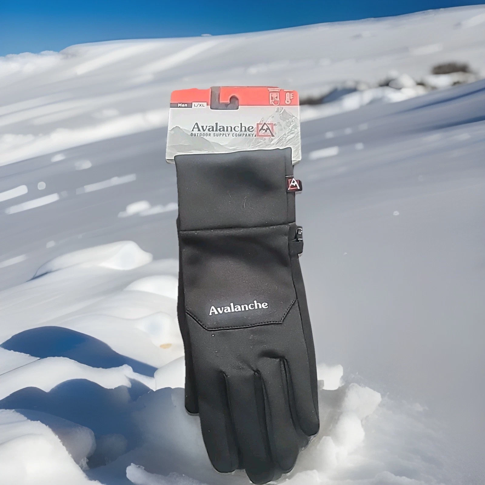 Avalanche outdoor supply company Gloves