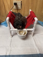 Chicken Wheelchair with Sling Adjustable Height Easy Assembly for Outdoor Use