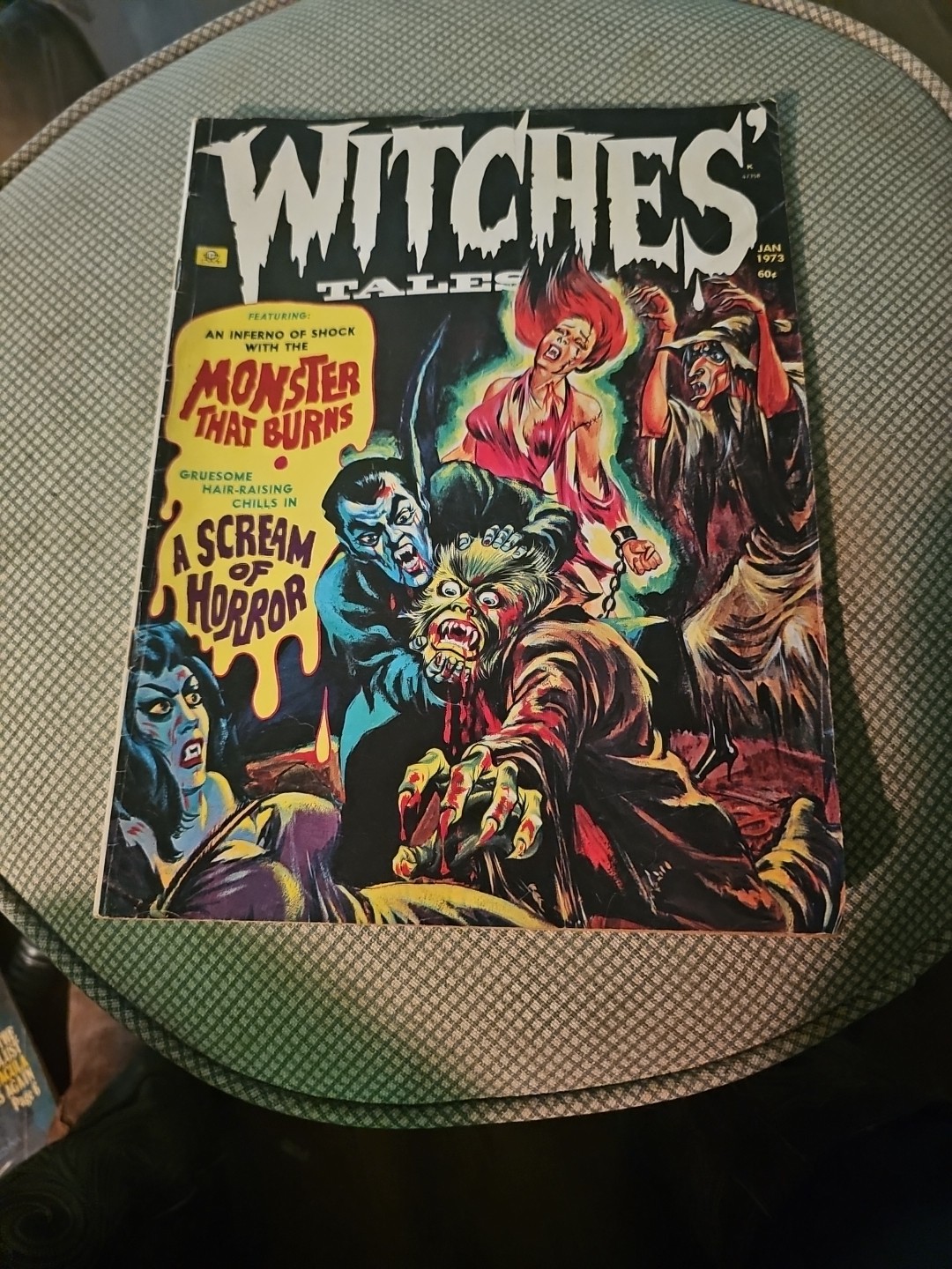 WITCHES' TALES MAGAZINE  JAN 1973 VOL.5 No.1 Monsters Horror Weird Comic Book