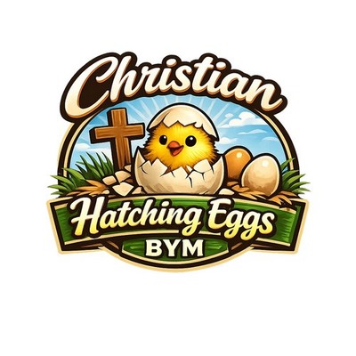 3  Barnyard Mix chicken eggs 
