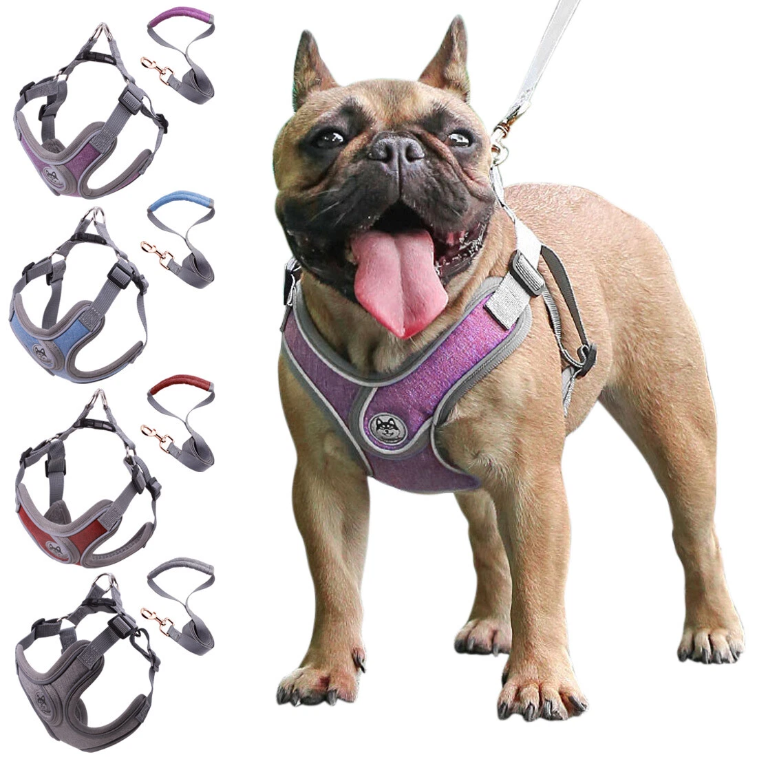 Small dog cheap vest