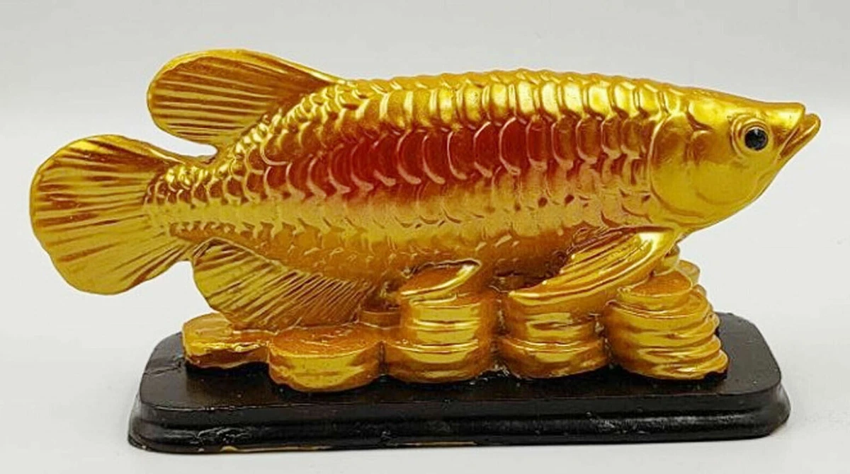 Arowana Fish Feng Shui Direction