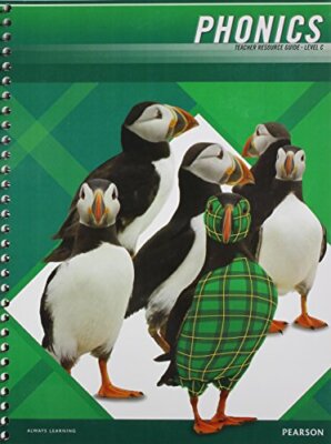 PLAID PHONICS 2011 TEACHER RESOURCE GUIDE LEVEL C [Hardcover] Modern Curriculum