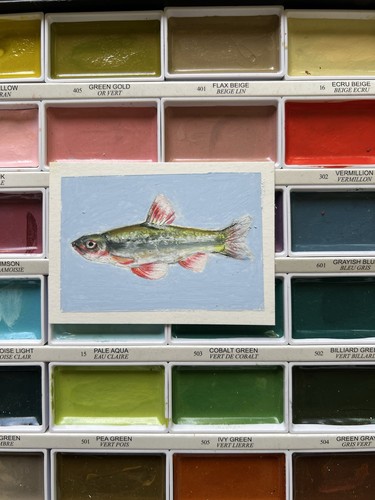 ACEO Original Oil Pastel fish OCEAN OOAK Signed Painting By Narcissa Ford 