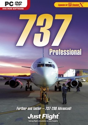 737 PROFESSIONAL (PC) (UK IMPORT)