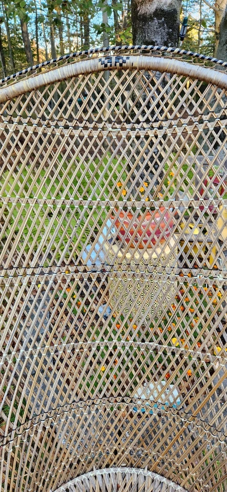 Silla Cottagecore Witchcore Mimbre Pavo Real Abanico Trono Boho Shabby Chic Excelente Foto 4 de 4