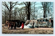 Postcard IN Parke County Maple Syrup Camp Photo View Vtg M5