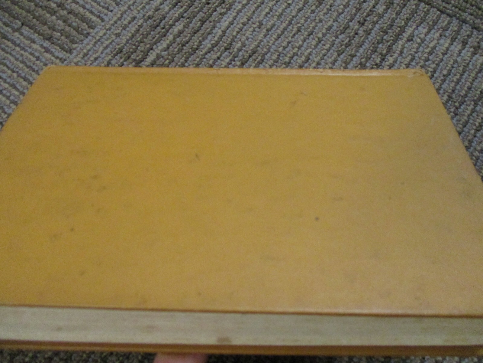 Picture 3 of 13