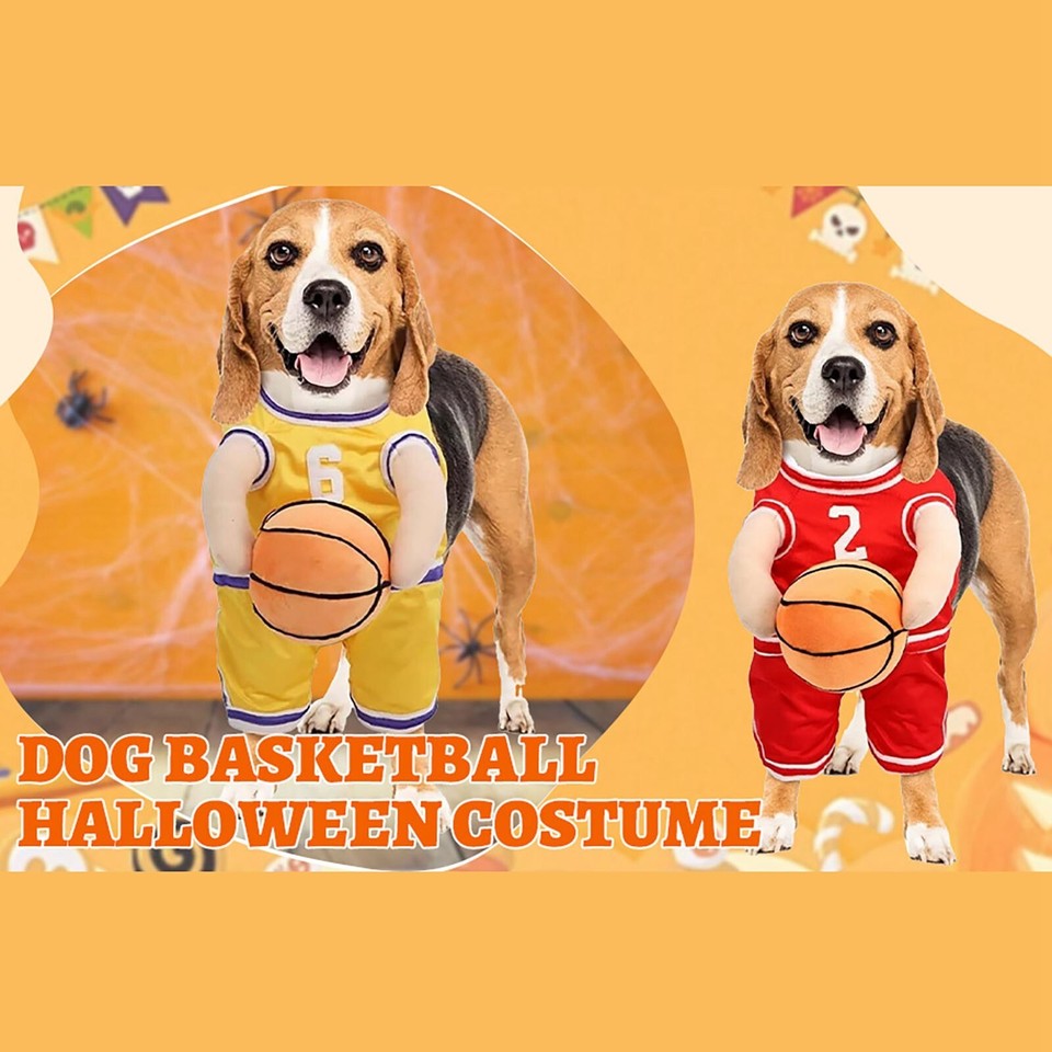Dog Basketball Costume With Dog Basketball Halloween Costume Dog