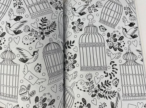 Adult Coloring Books, Set of 2, Flying Wonders & Natural Wonders, Unused - Picture 3 of 4