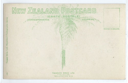 Cathedral Square, Christchurch New Zealand; Tanner Brothers; photo postcard RPPC - Picture 2 of 2