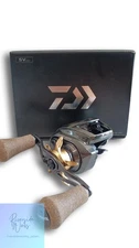 DAIWA 24STEEZ SV TW 100H Baitcasting Reel Fishing Gear