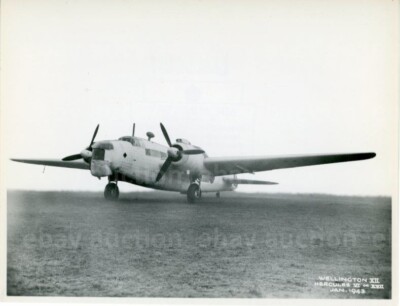VICKERS WELLINGTON XII - Original Fliegerfoto